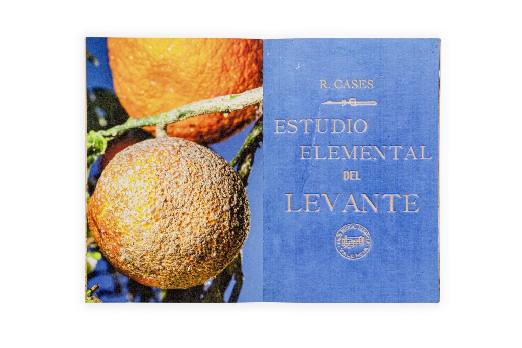 02 Estudio elemental del Levante
