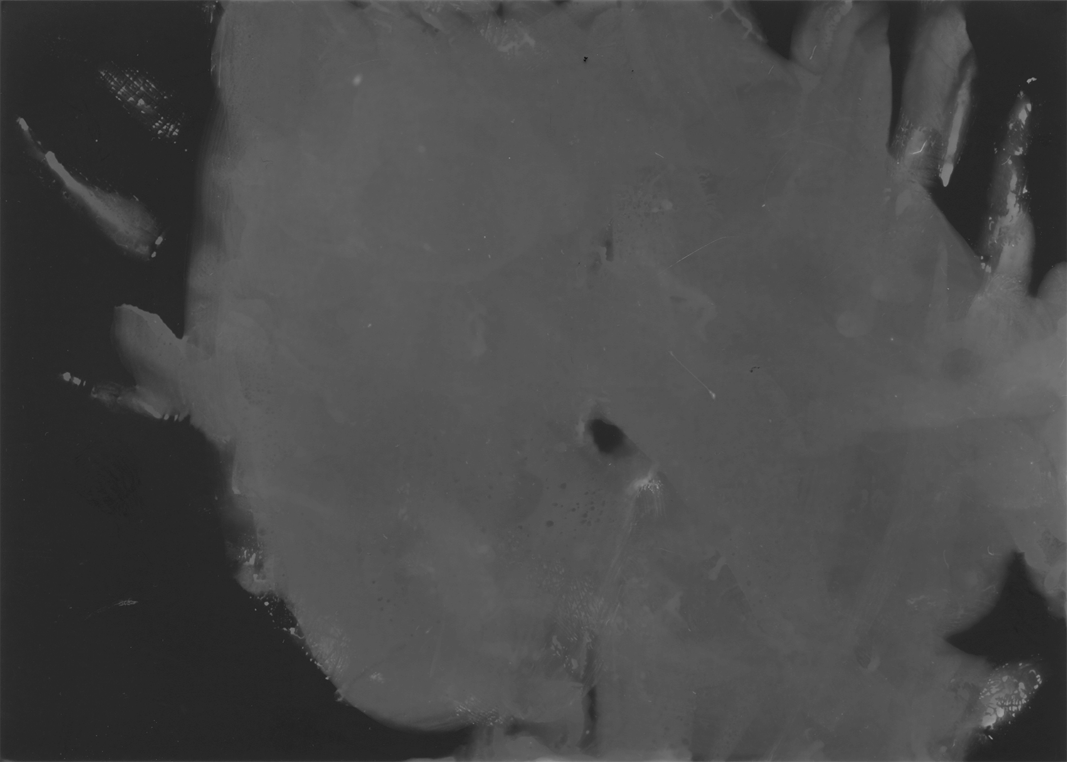 Talent latent-2025 5 Mireia Sancari