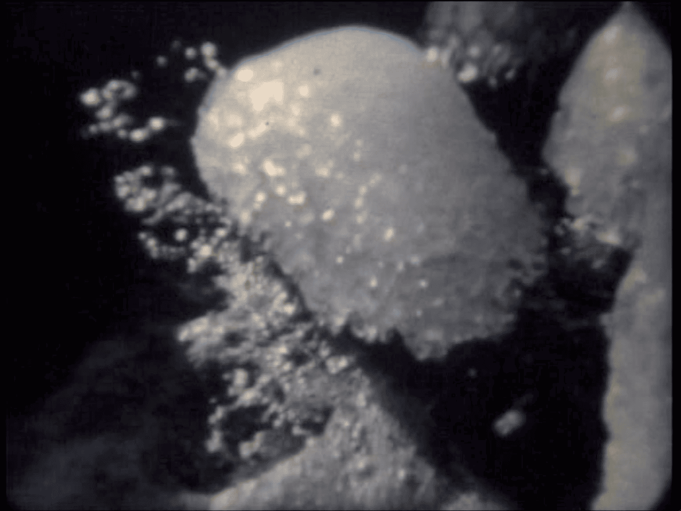 SIRERA-La gota d'aigua