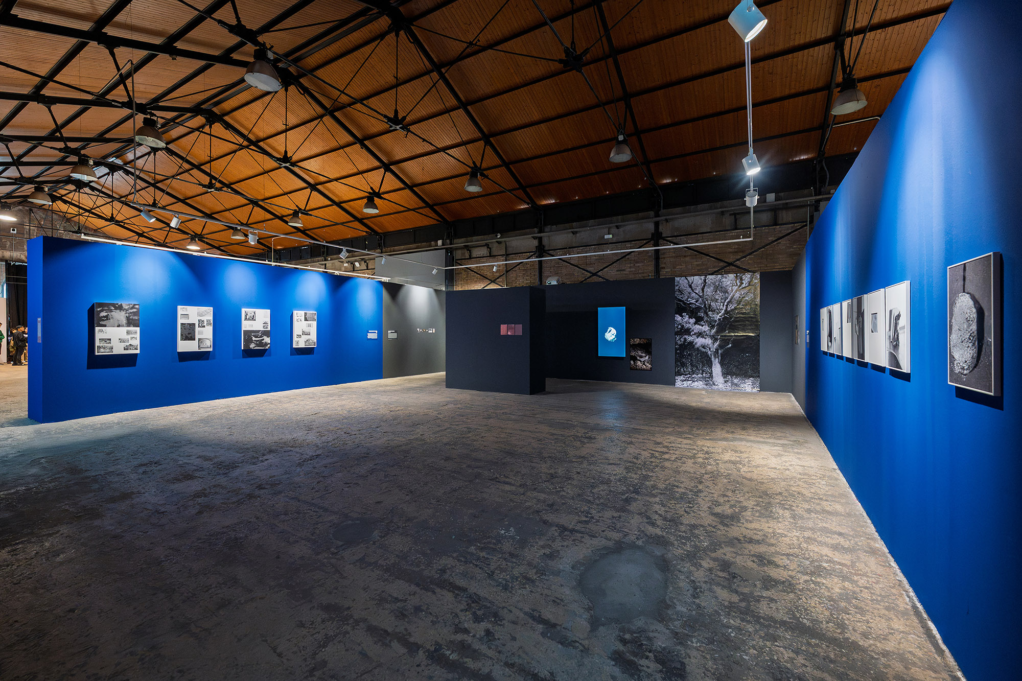 Convocatòria Talent Latent 2026 4 Talent_Latent_2025_04