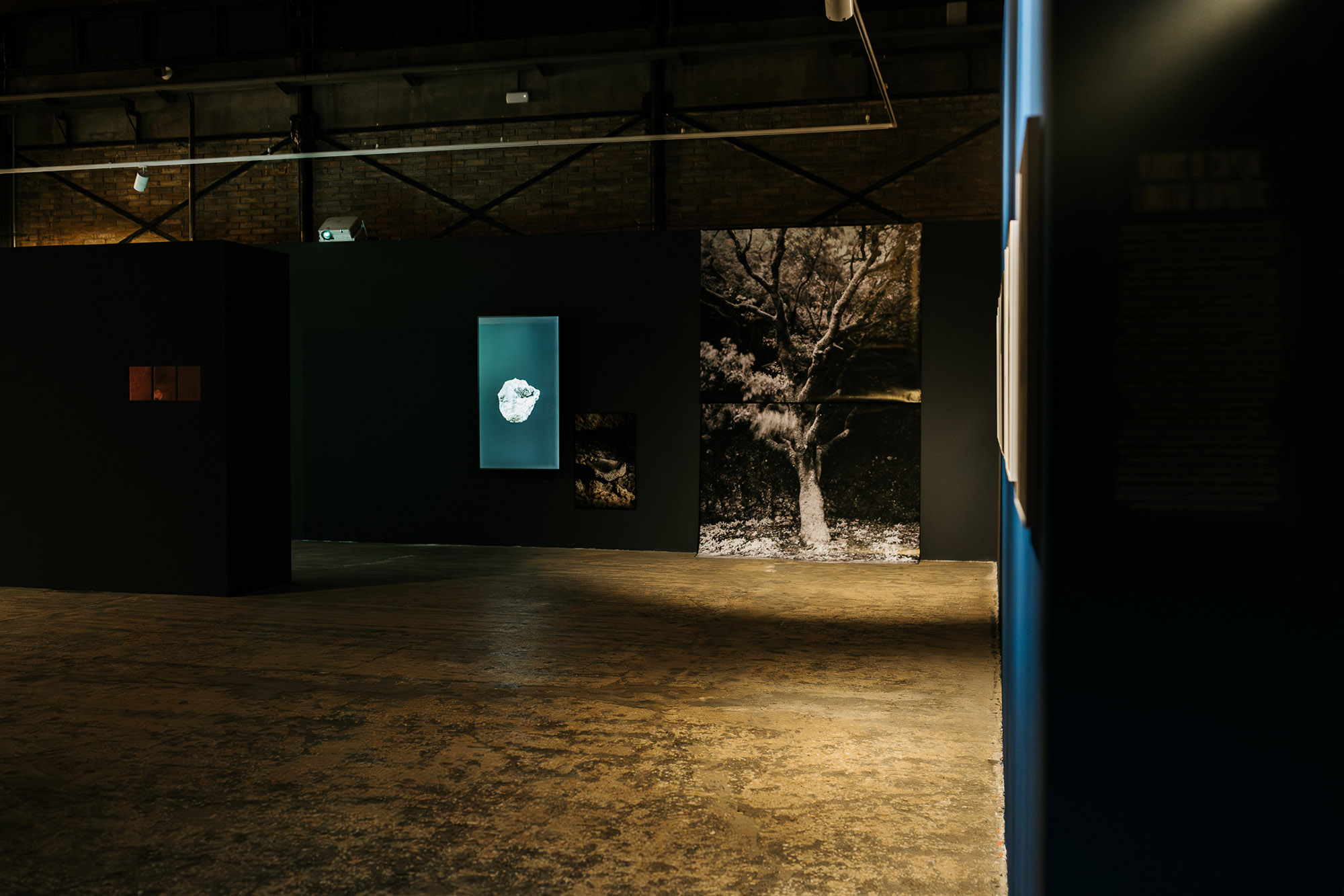 Convocatòria Talent Latent 2026 7 Talent_Latent_2025_07