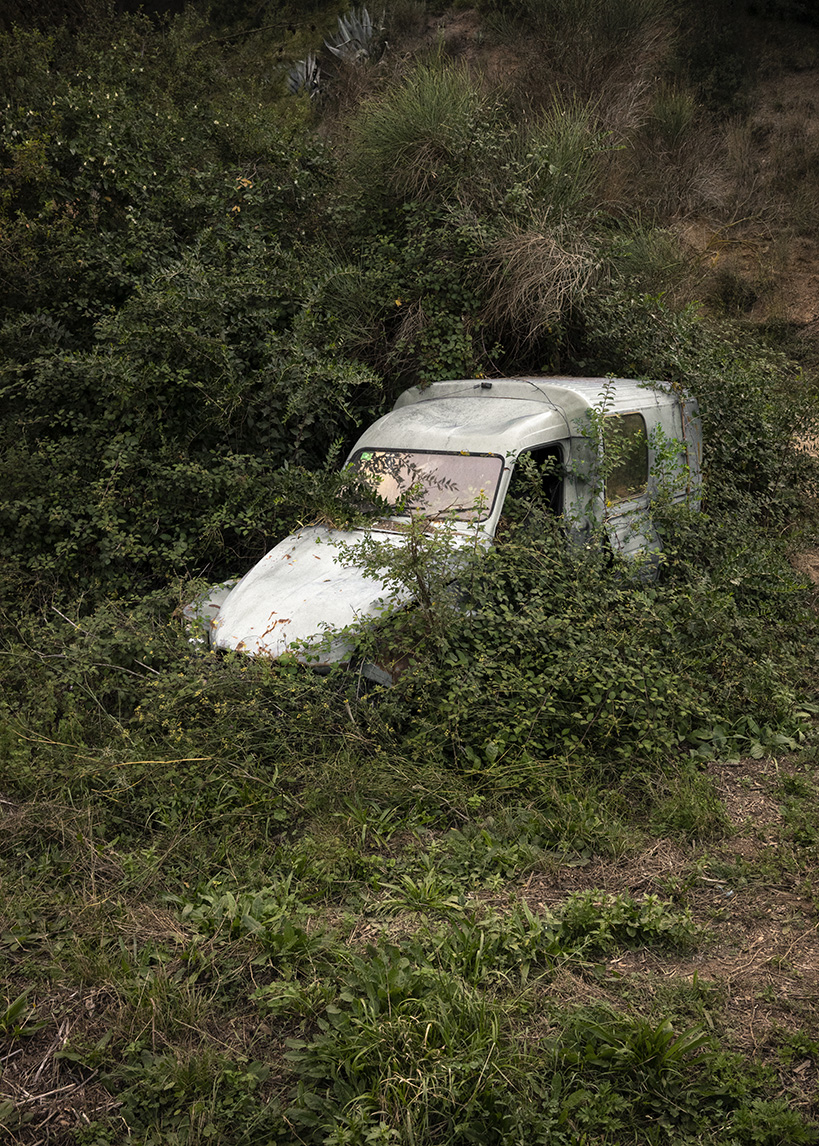 Exposicions 2026 5 And into the forest I go