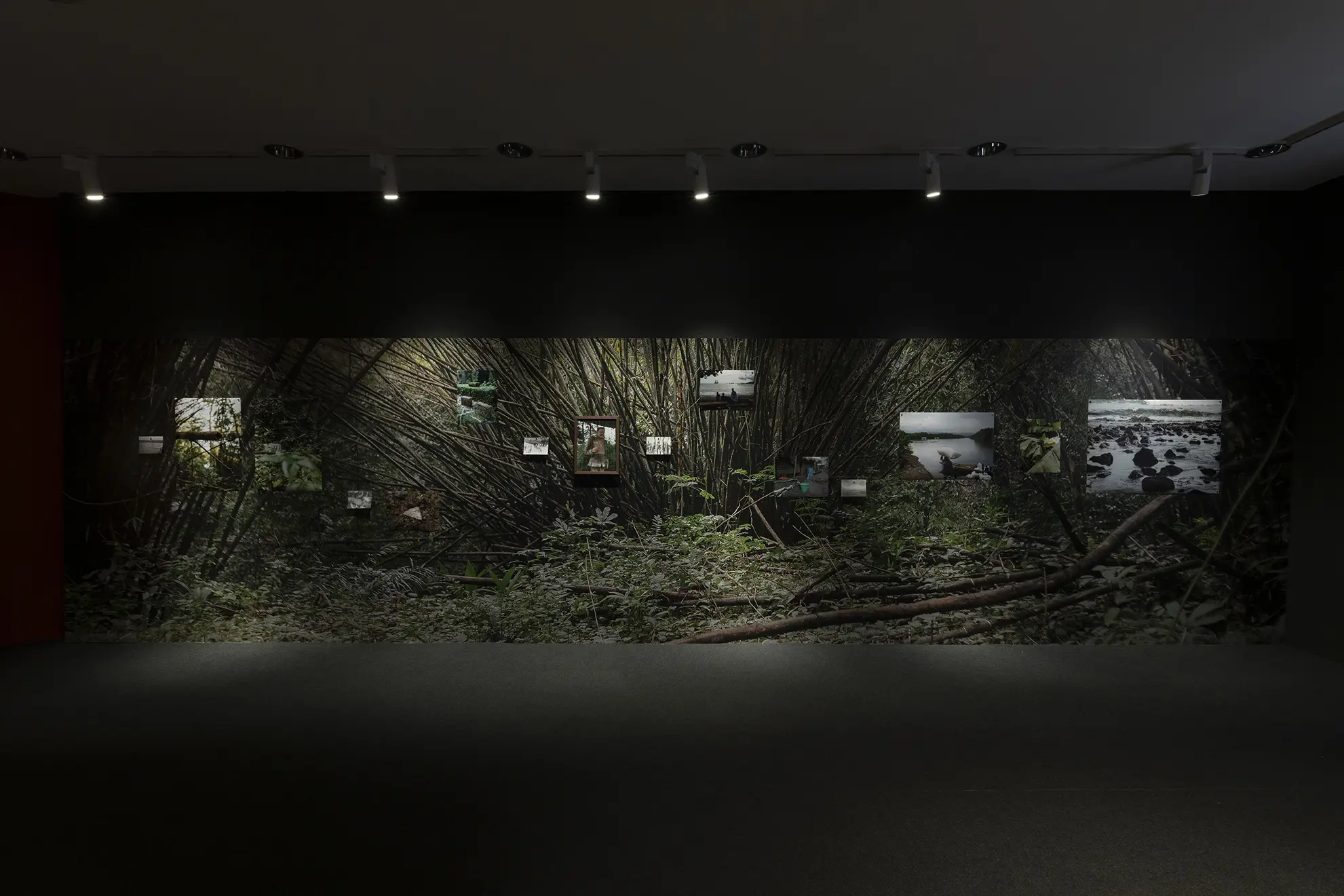Alienacions — Agnes Essonti Luque